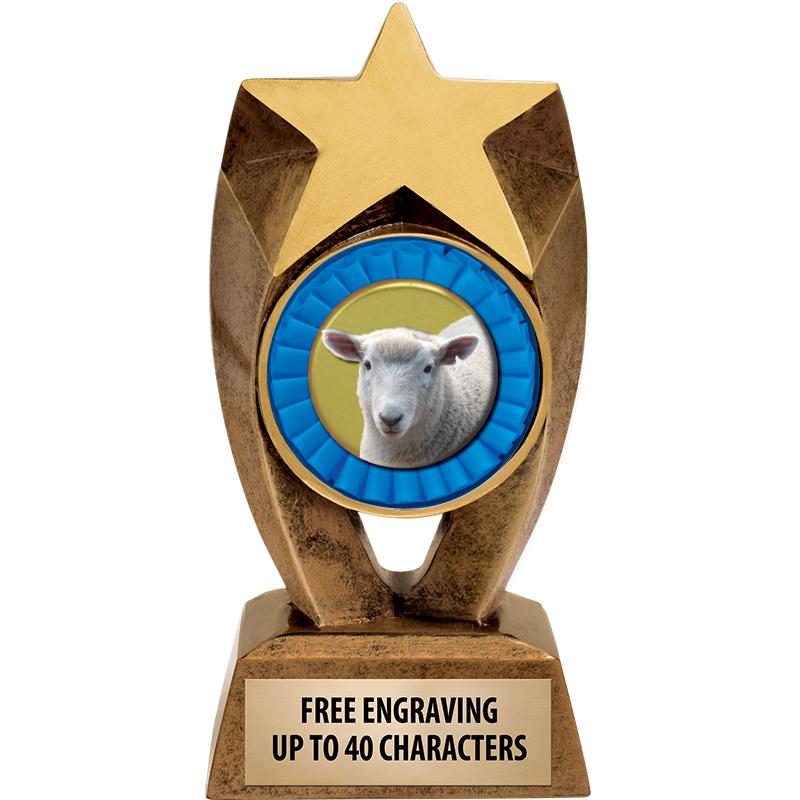 6" ASTEROID INSERT SCULPTURE