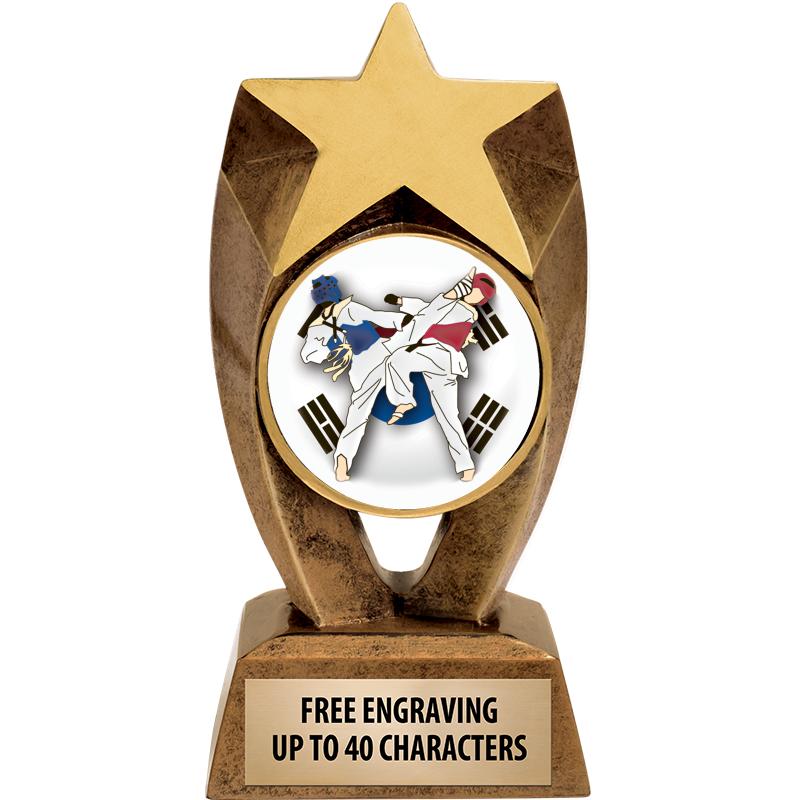 6" ASTEROID INSERT SCULPTURE