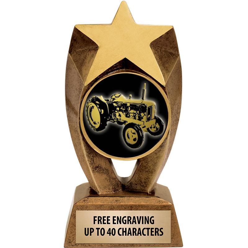 6" ASTEROID INSERT SCULPTURE