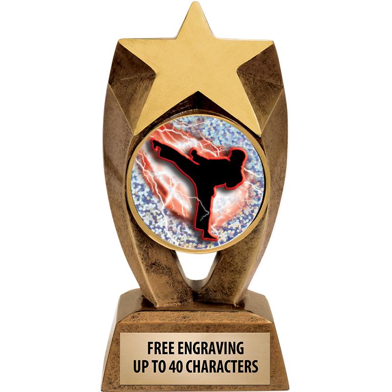 6" ASTEROID INSERT SCULPTURE