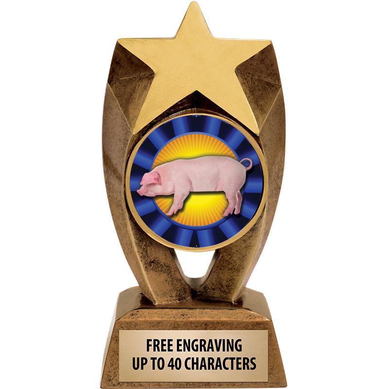 6" ASTEROID INSERT SCULPTURE