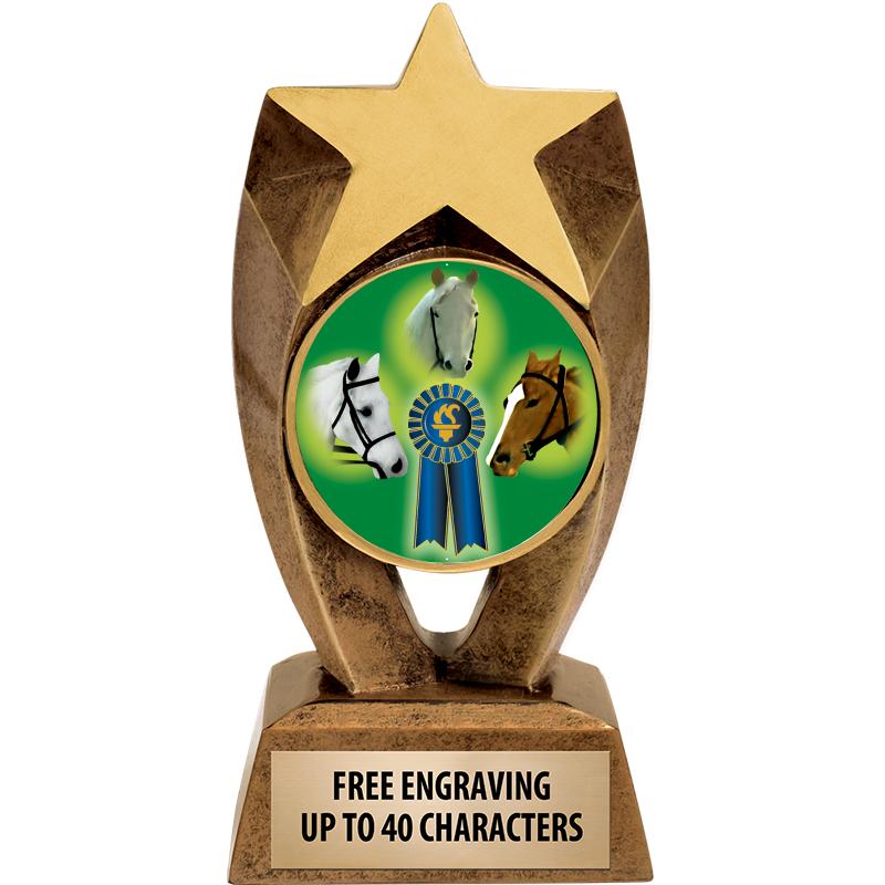 6" ASTEROID INSERT SCULPTURE