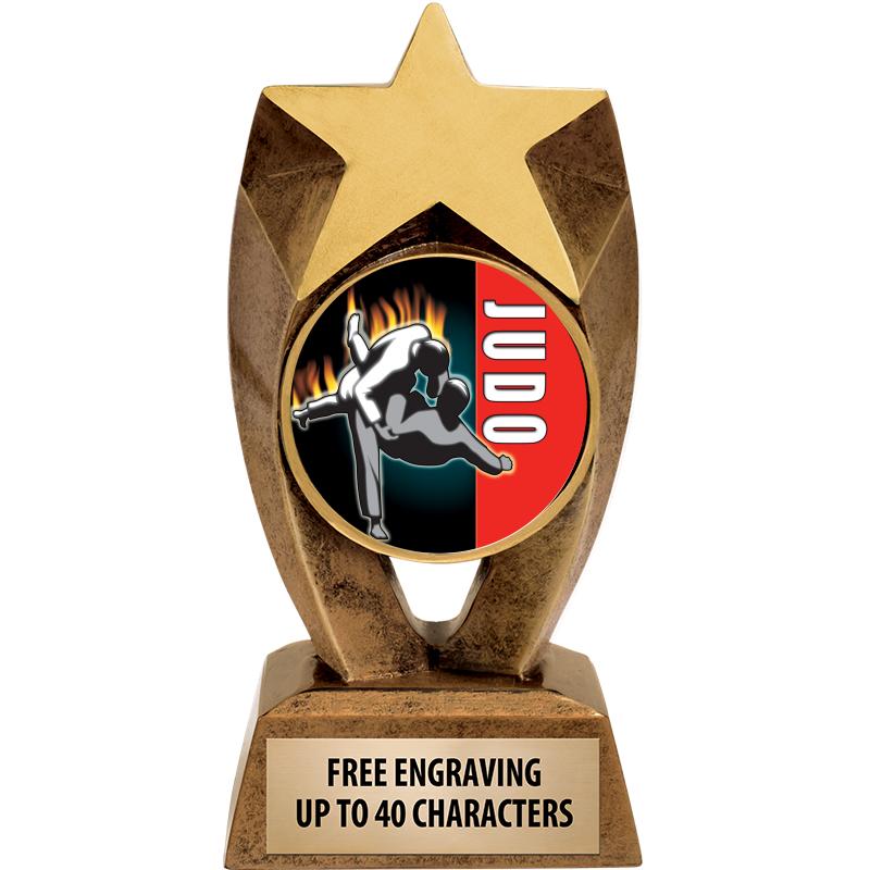 6" ASTEROID INSERT SCULPTURE