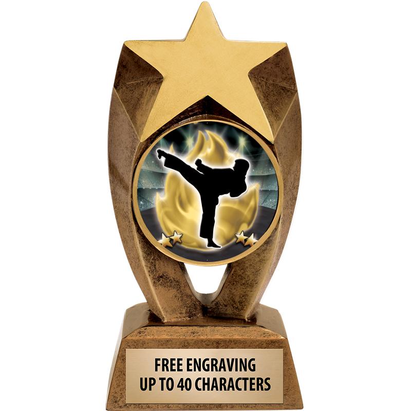 6" ASTEROID INSERT SCULPTURE