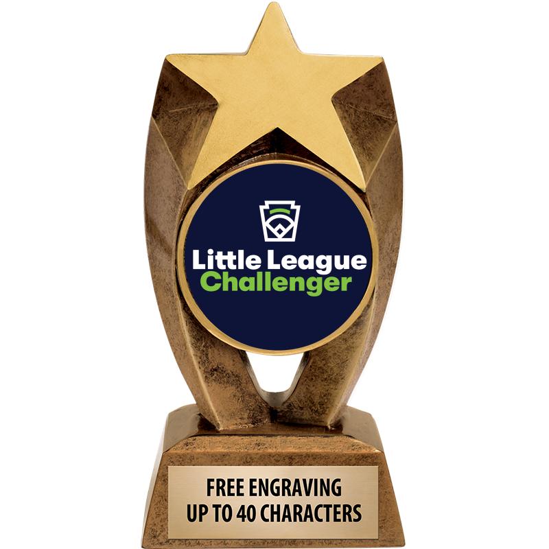 6" ASTEROID INSERT SCULPTURE