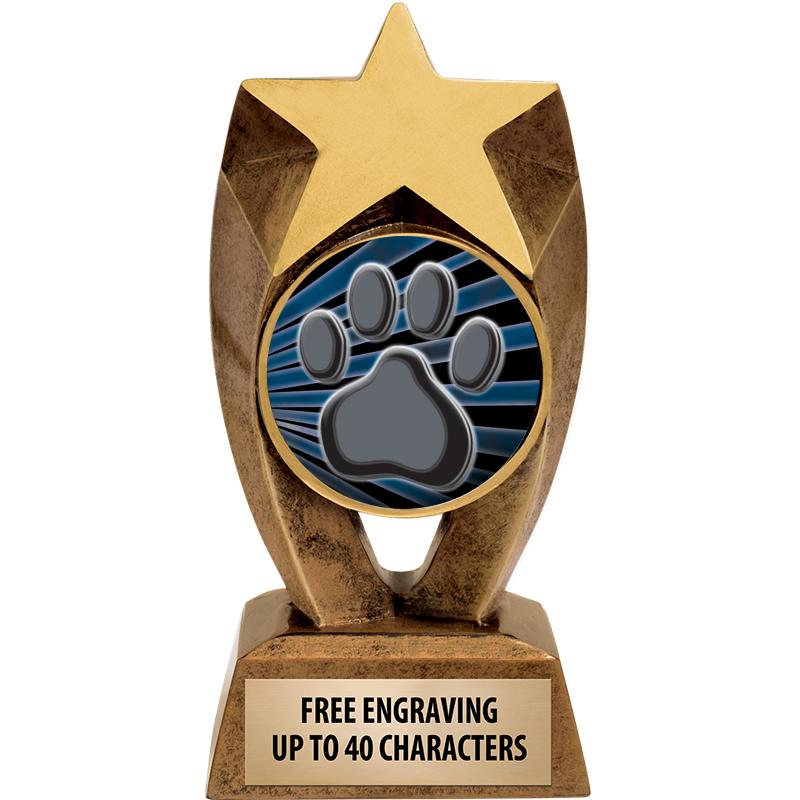 6" ASTEROID INSERT SCULPTURE