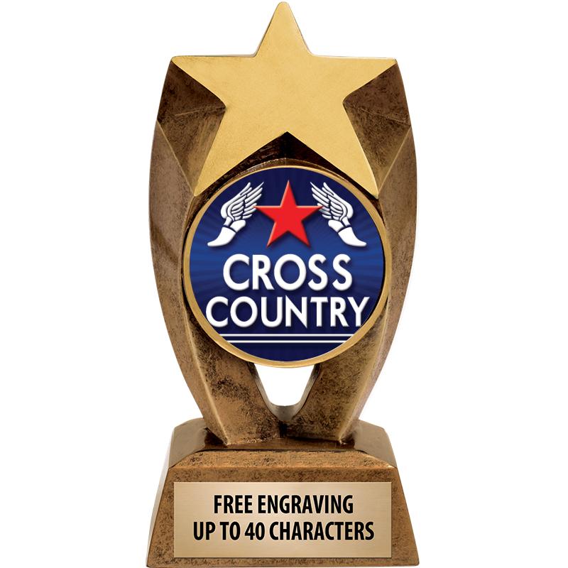 6" ASTEROID INSERT SCULPTURE