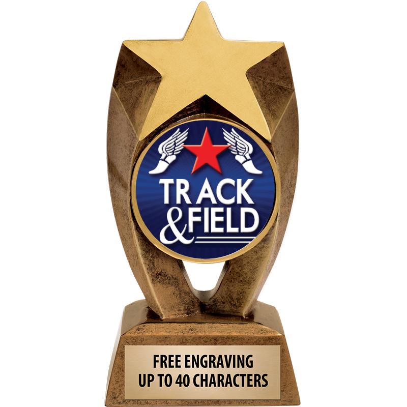 6" ASTEROID INSERT SCULPTURE