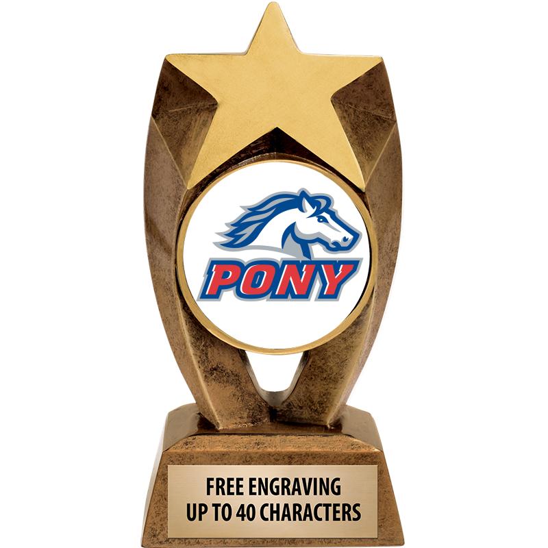 6" ASTEROID INSERT SCULPTURE