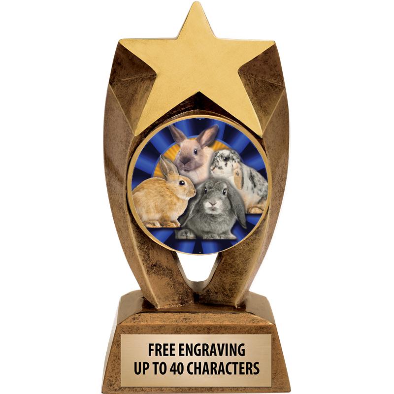 6" ASTEROID INSERT SCULPTURE