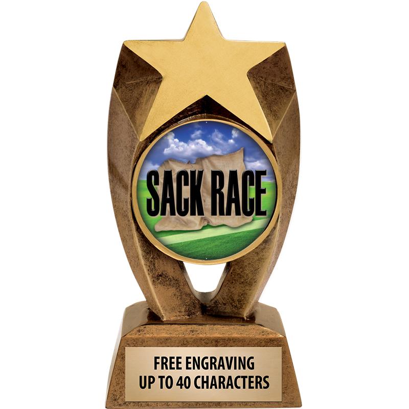 6" ASTEROID INSERT SCULPTURE