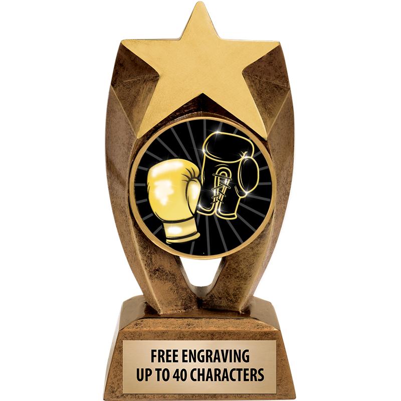 6" ASTEROID INSERT SCULPTURE