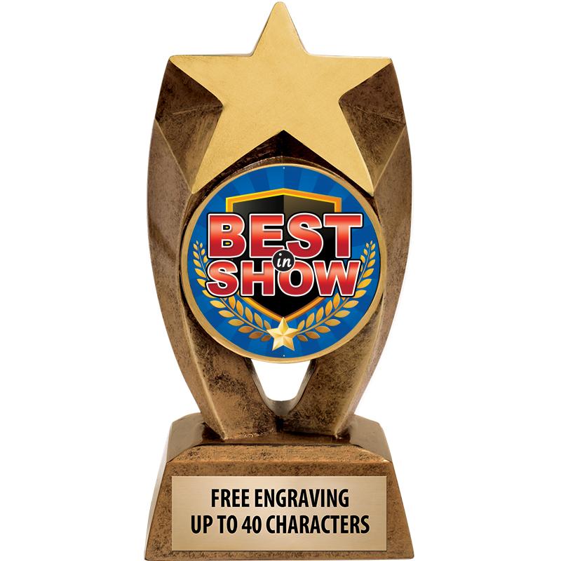 6" ASTEROID INSERT SCULPTURE