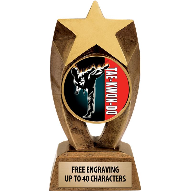 6" ASTEROID INSERT SCULPTURE