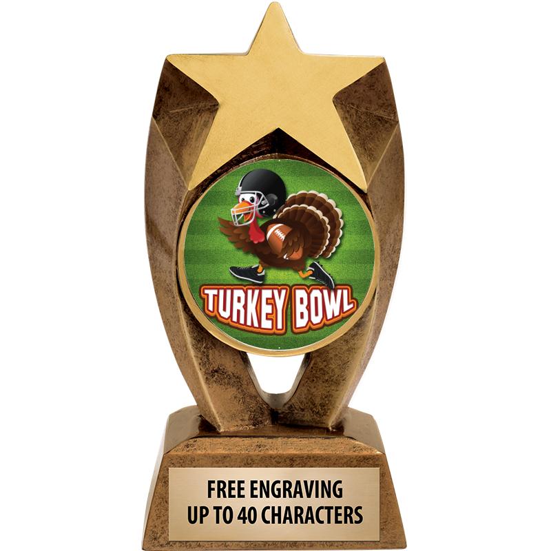 6" ASTEROID INSERT SCULPTURE