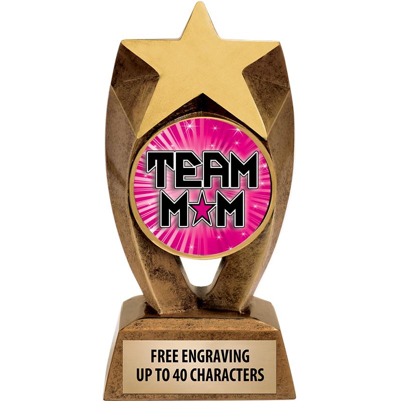 6" ASTEROID INSERT SCULPTURE