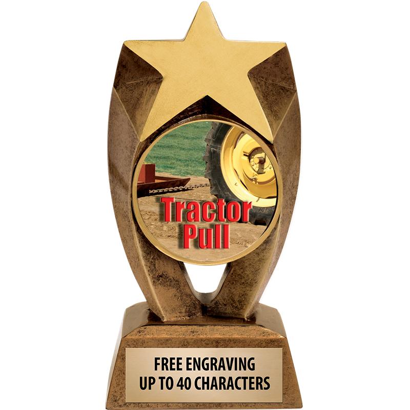 6" ASTEROID INSERT SCULPTURE