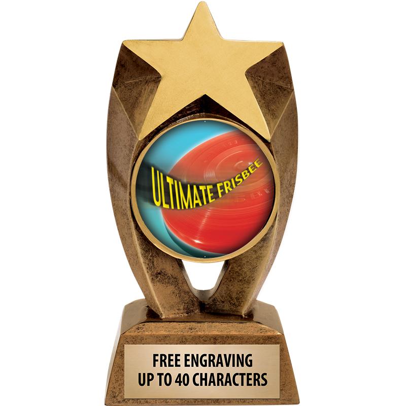 6" ASTEROID INSERT SCULPTURE