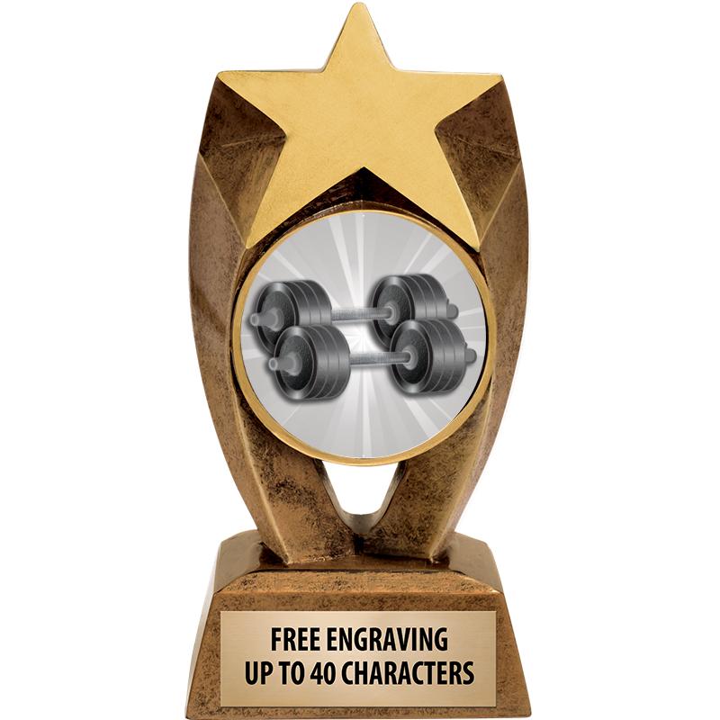 6" ASTEROID INSERT SCULPTURE