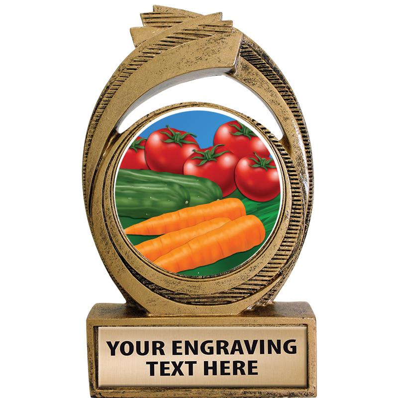 CELESTIAL INSERT TROPHY