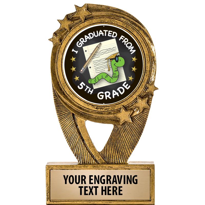 5" DESTINY INSERT RESIN TRP