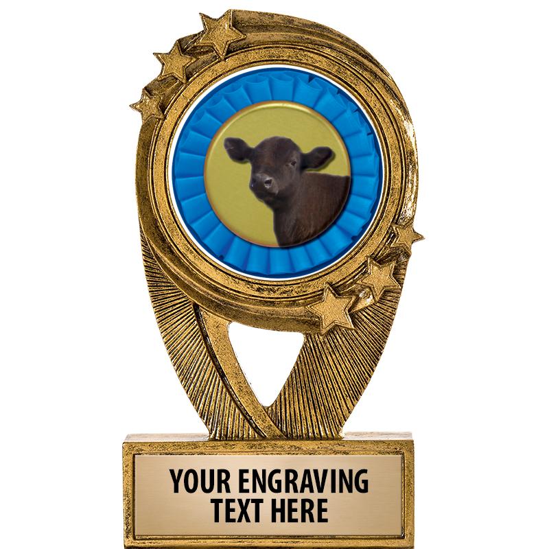 5" DESTINY INSERT RESIN TRP