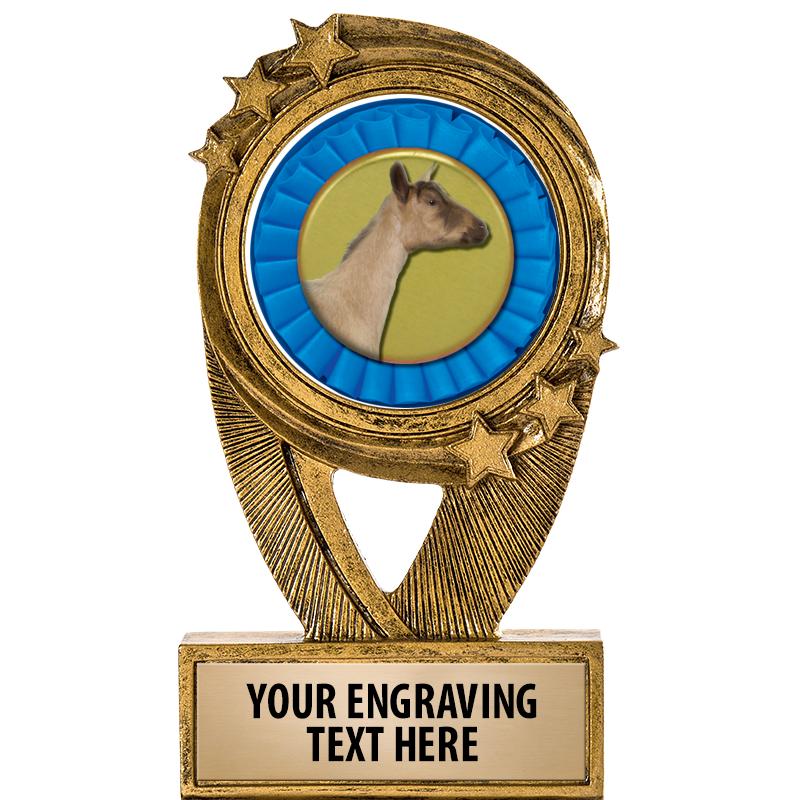 5" DESTINY INSERT RESIN TRP