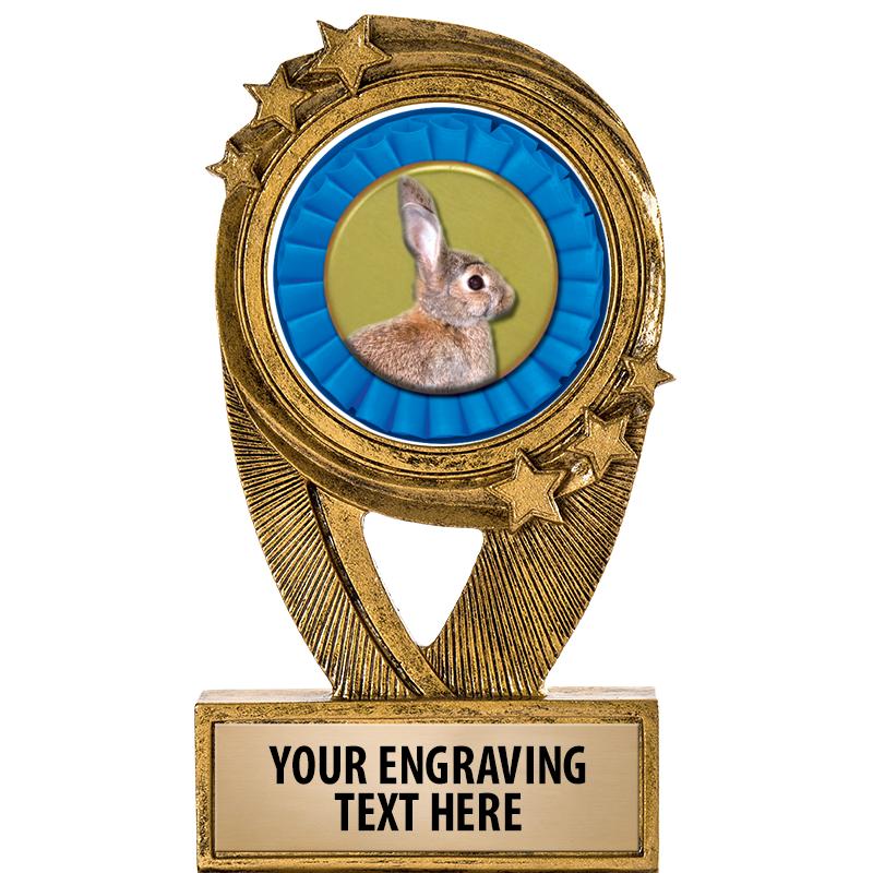 5" DESTINY INSERT RESIN TRP