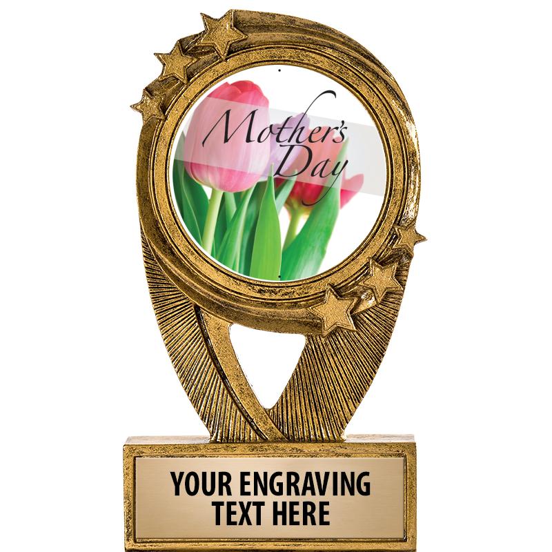 5" DESTINY INSERT RESIN TRP