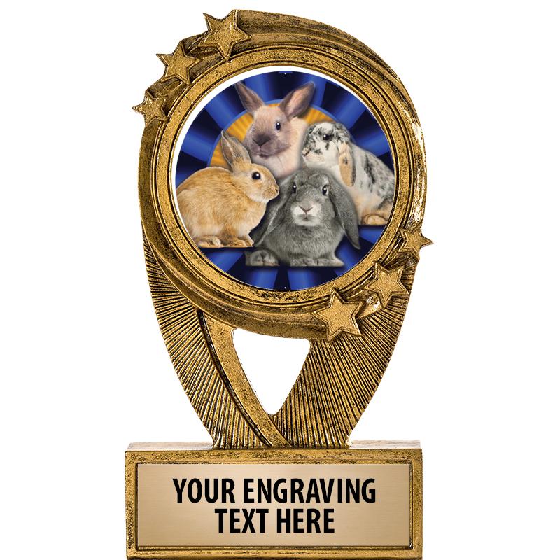 5" DESTINY INSERT RESIN TRP