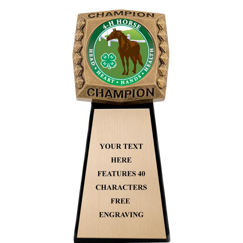 7" CHAMPIONSHIP RING INS SCLP