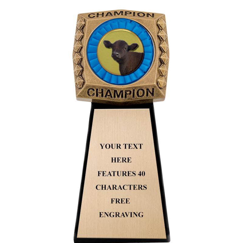 7" CHAMPIONSHIP RING INS SCLP