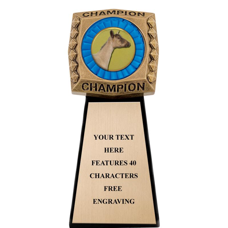 7" CHAMPIONSHIP RING INS SCLP