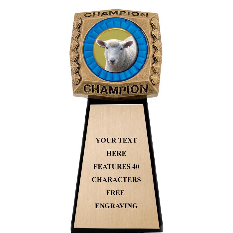 7" CHAMPIONSHIP RING INS SCLP