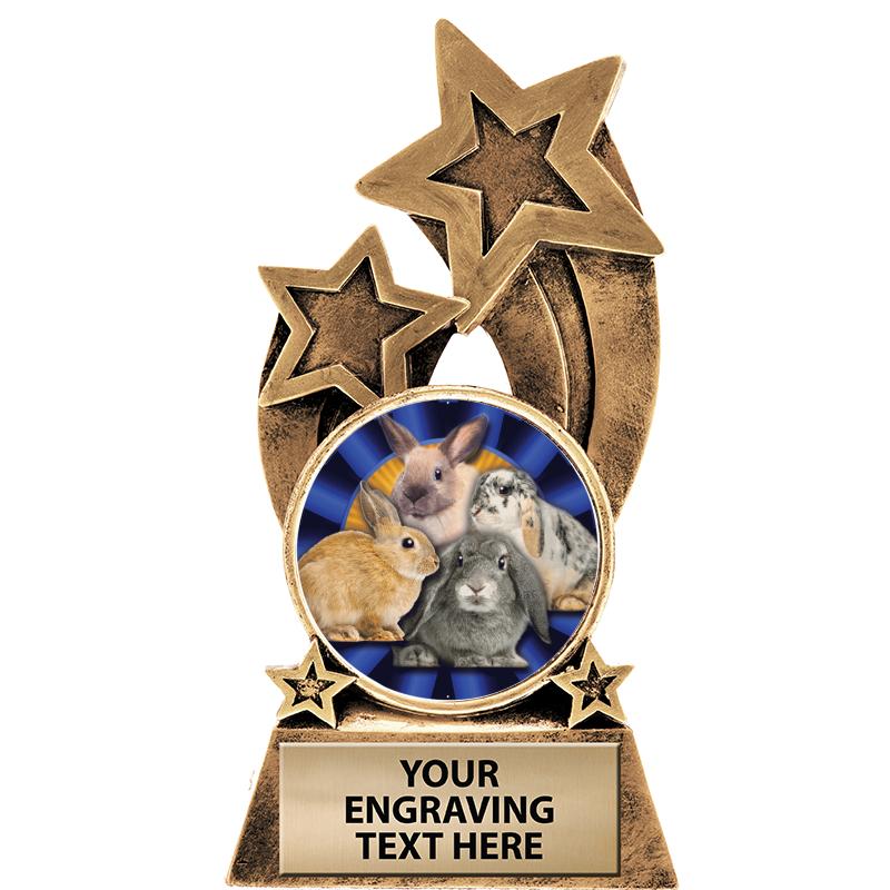 5.75" GLORY INSERT RESIN