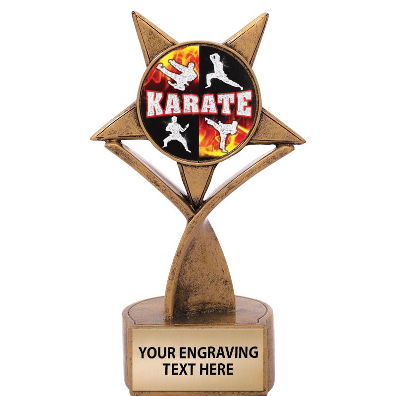 Karate Trophies Karate Medals Karate Plaques and Awards