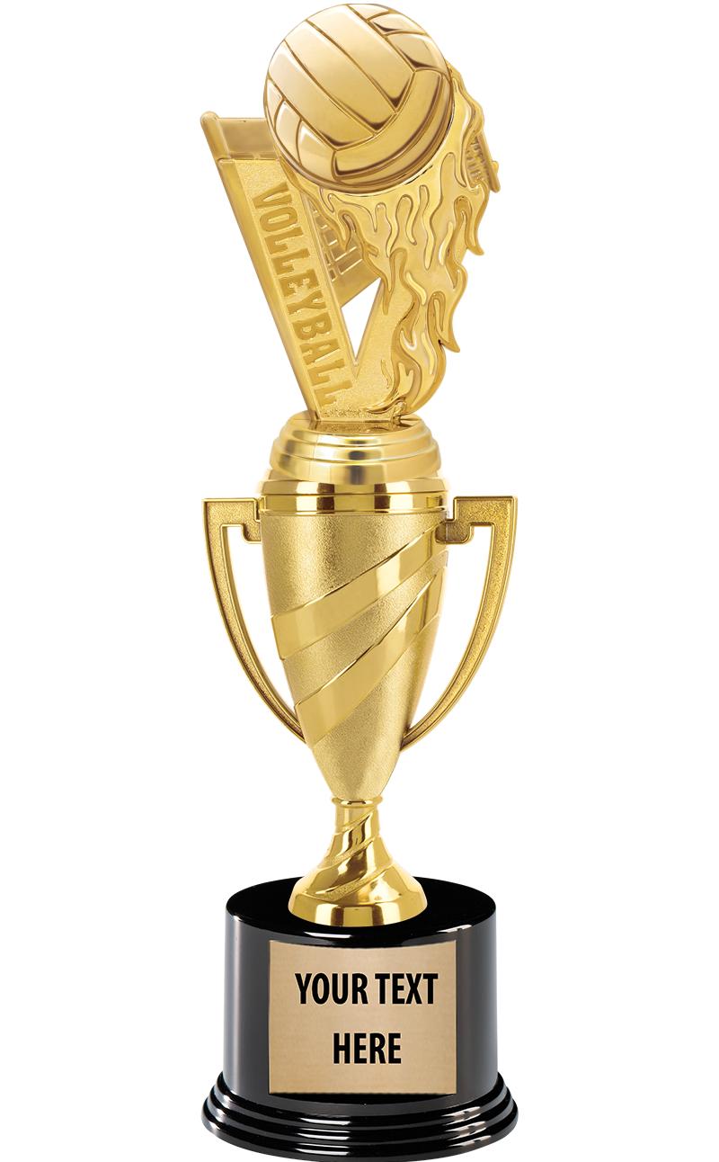 13"USSSA GOLD TROPHY CUP