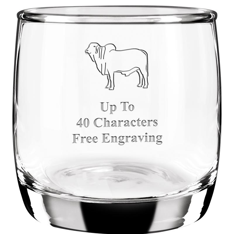 10.5oz CANYON ROCKS GLASS