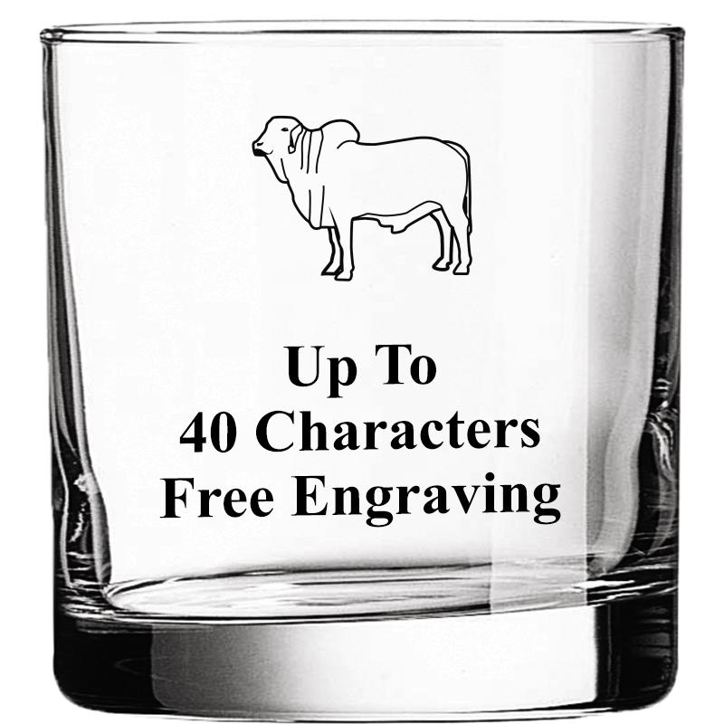 CLR DBL OLD FASHN 10.5OZ GLASS