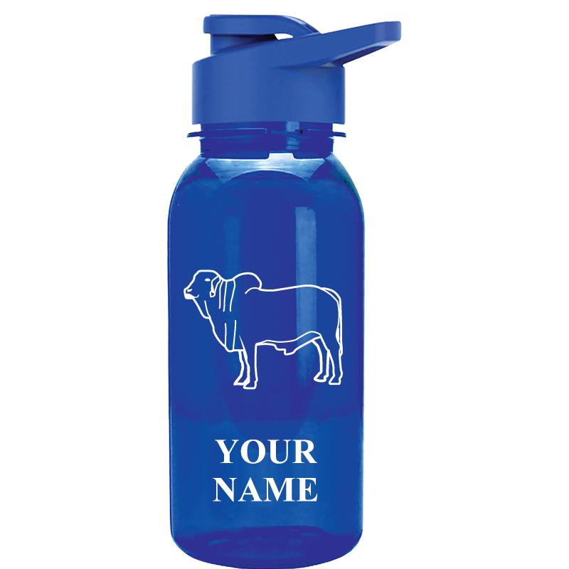 WATER BOTTLE 18OZ BLUE
