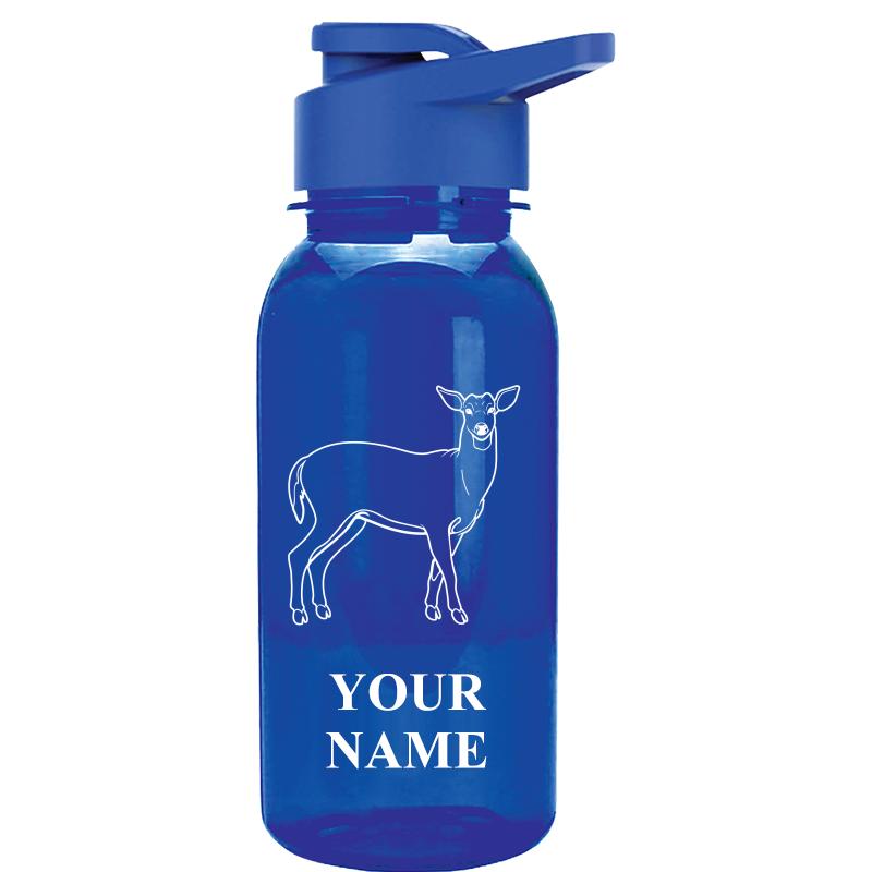 WATER BOTTLE 18OZ BLUE