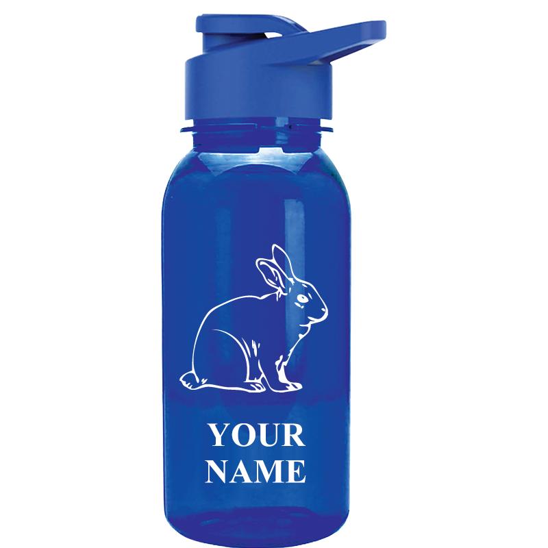 WATER BOTTLE 18OZ BLUE