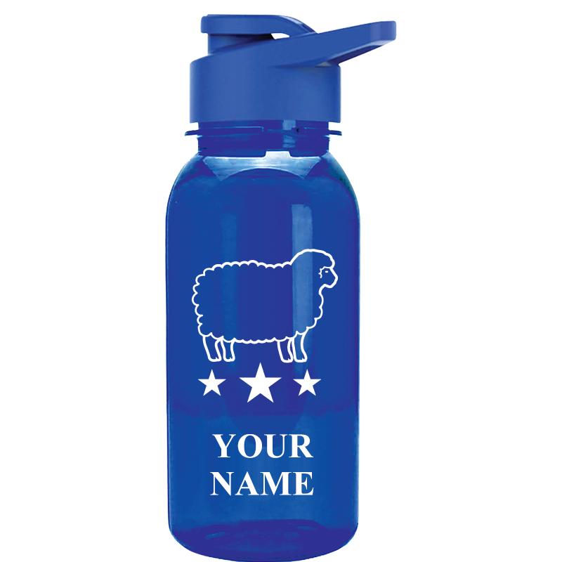 WATER BOTTLE 18OZ BLUE