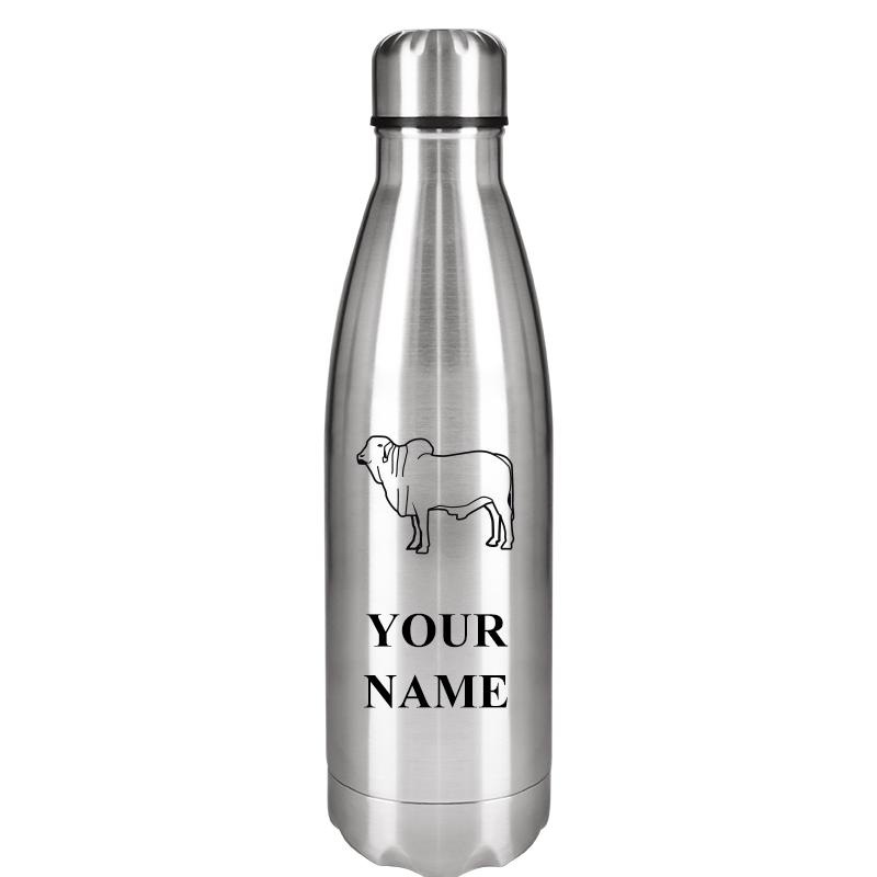 SILVER WATER BOTTLE 17 OZ