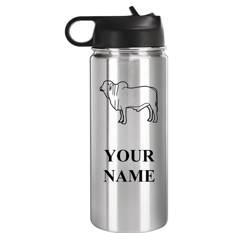WATER BOTTLE 20OZ SILVER