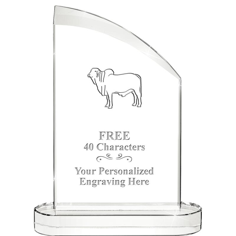 8.25" ASPIRATION CRYSTAL