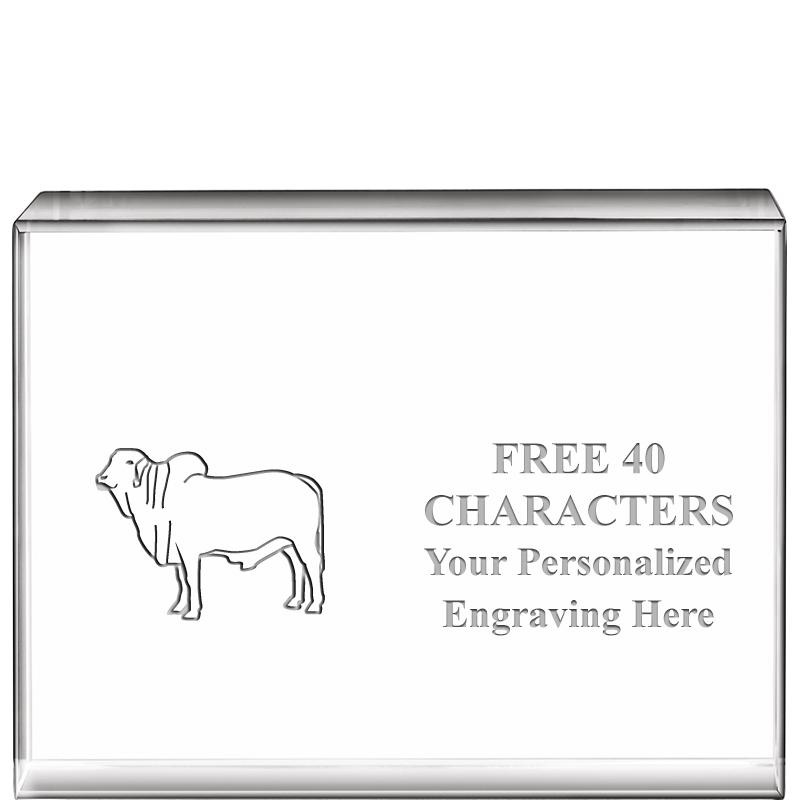 4"x3"HORIZONTAL DISPLAY CRYSTL