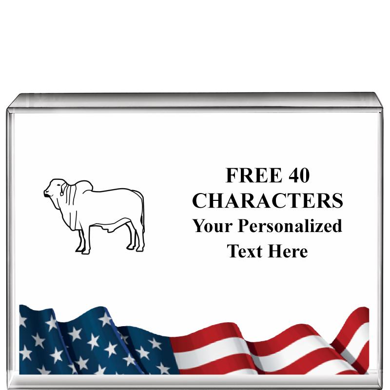 4"x3"FLAG HRZNTL DISPLY CRYSTL