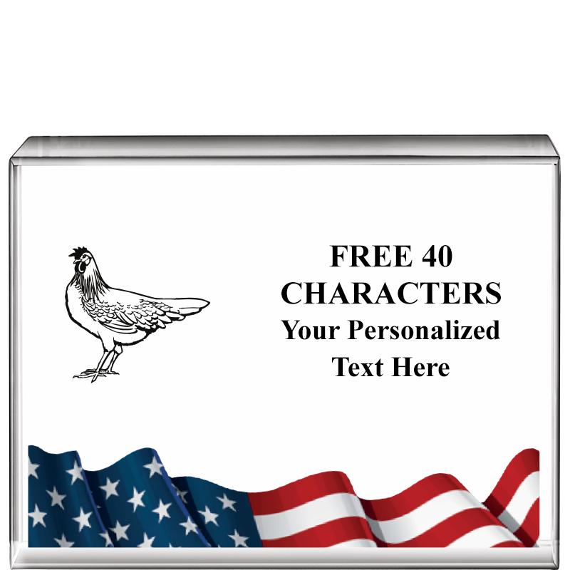 4"x3"FLAG HRZNTL DISPLY CRYSTL