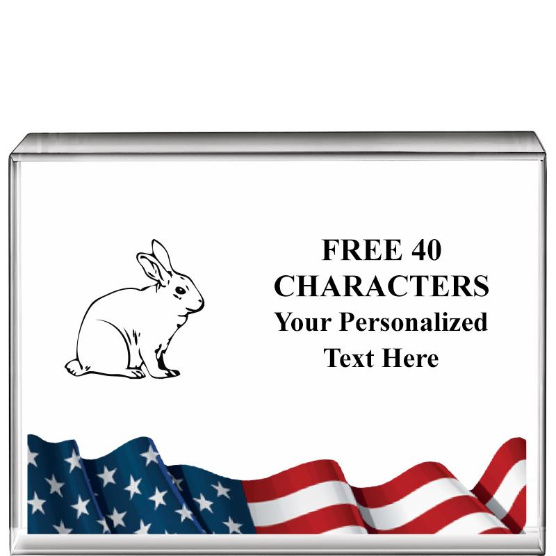 4"x3"FLAG HRZNTL DISPLY CRYSTL